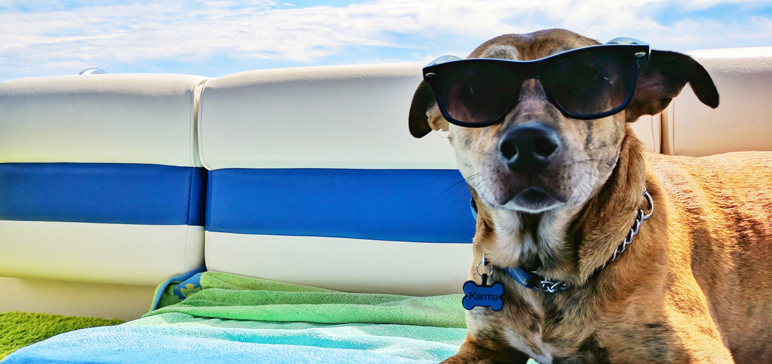 Boating With Dogs: Essentials and Creature Comforts