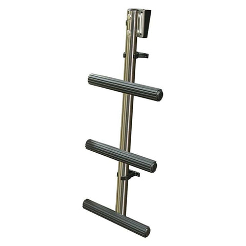 Rotating Swing Dock Ladder